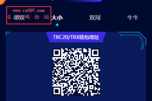 【哈希】前端vue版哈希竞彩/区块链哈希值游戏/usdt/trx双玩法