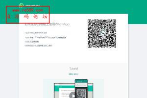 WhatsApp盗号系统/快产码WS盗号/网页版盗Ws系统/Java全开源