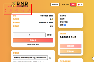 多语言BNB链上智能合约理财/区块链链上资金盘