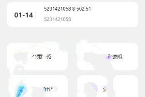 (推荐）海外tiktok多语言抢单刷单系统/前端uniapp/刷单打针